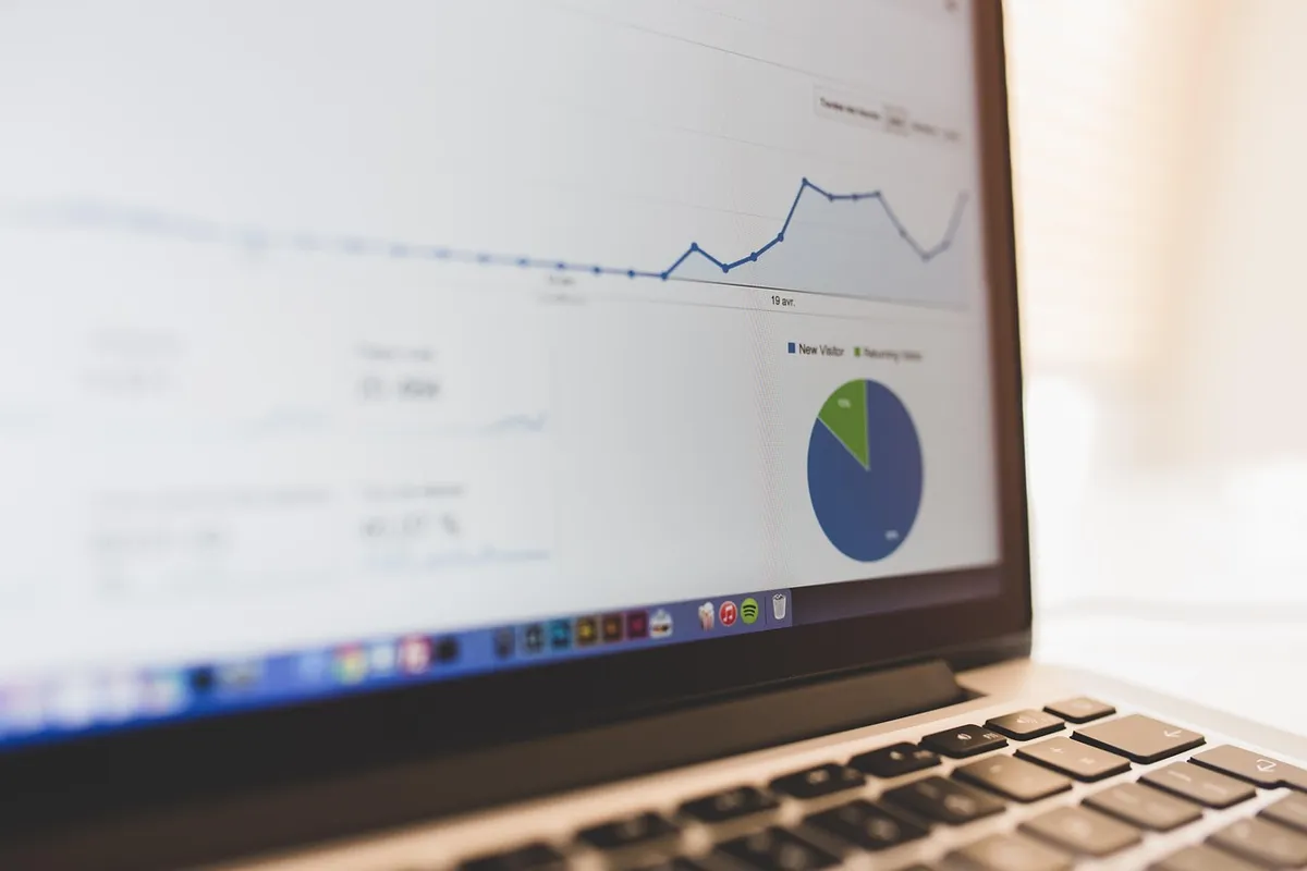 computer, summary, chart, business, seo, presentation, business presentation, screen, laptop screen, growth, notebook, laptop, digital notebook, computer, chart