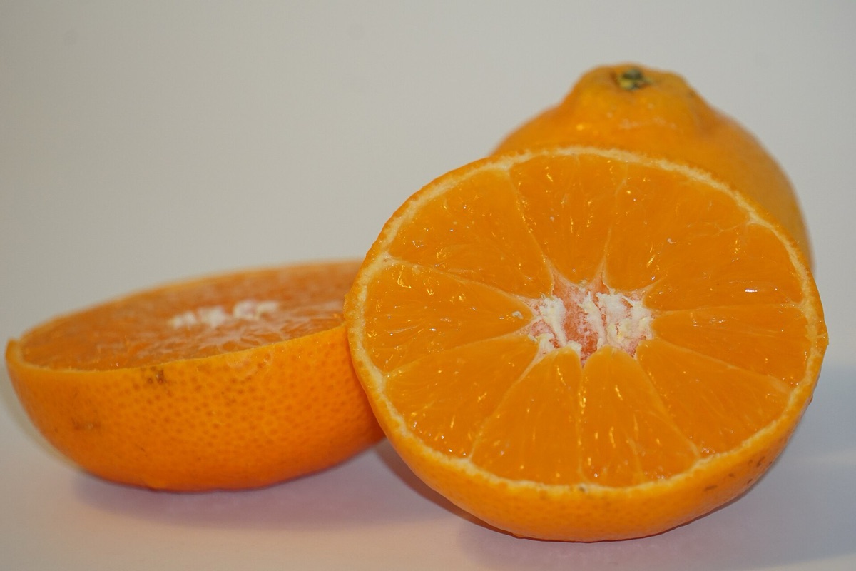 fruta cítrica fresca