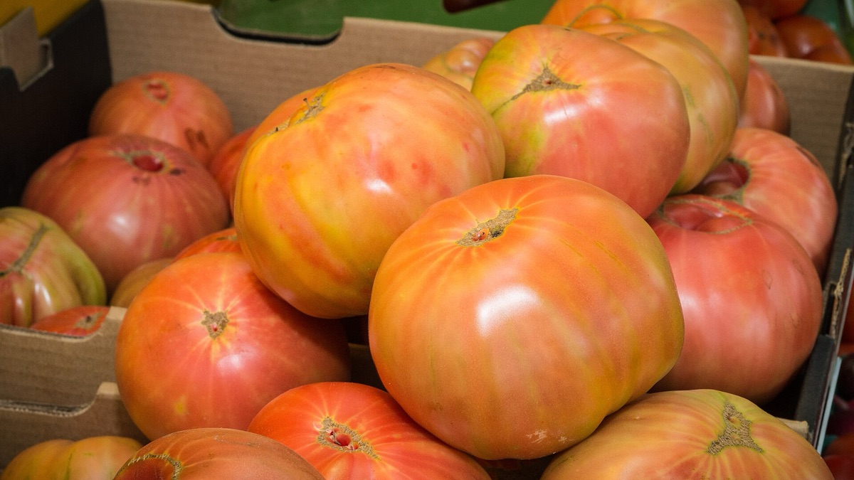 persona che prepara una insalata con verdura e olio