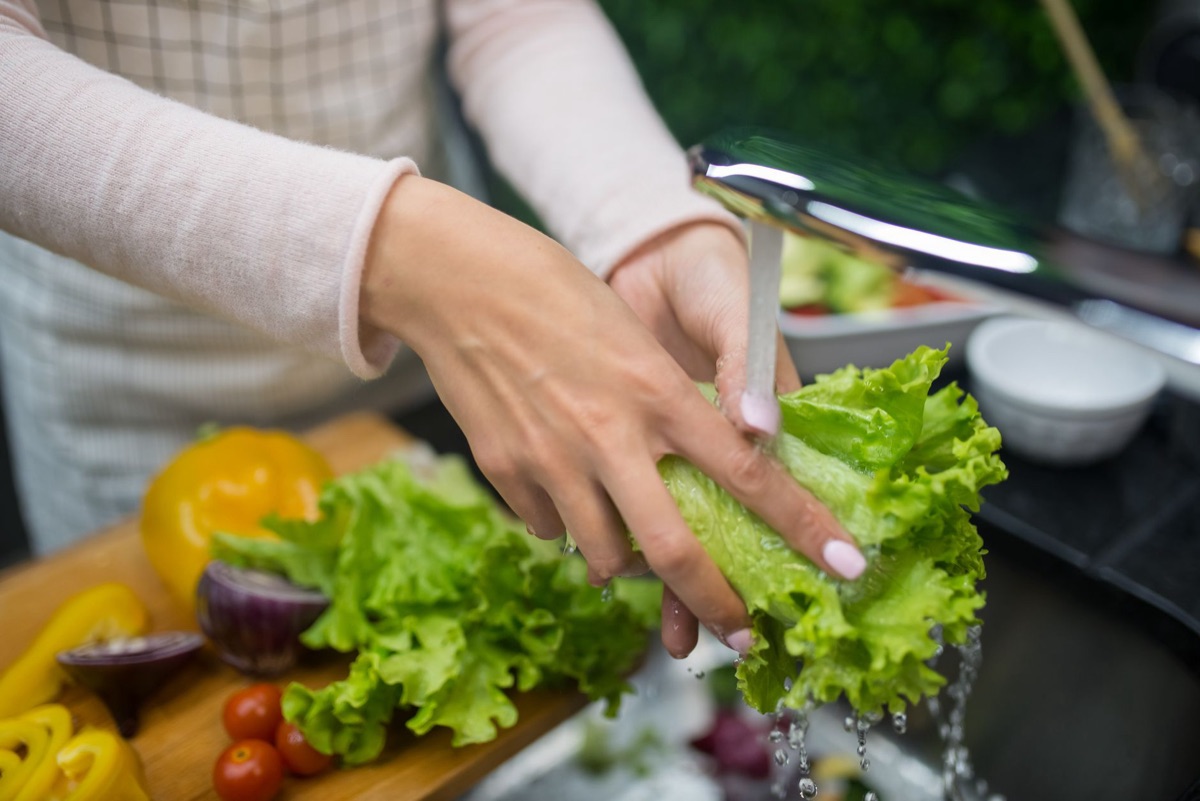 Manos sosteniendo vegetales frescos de la huerta