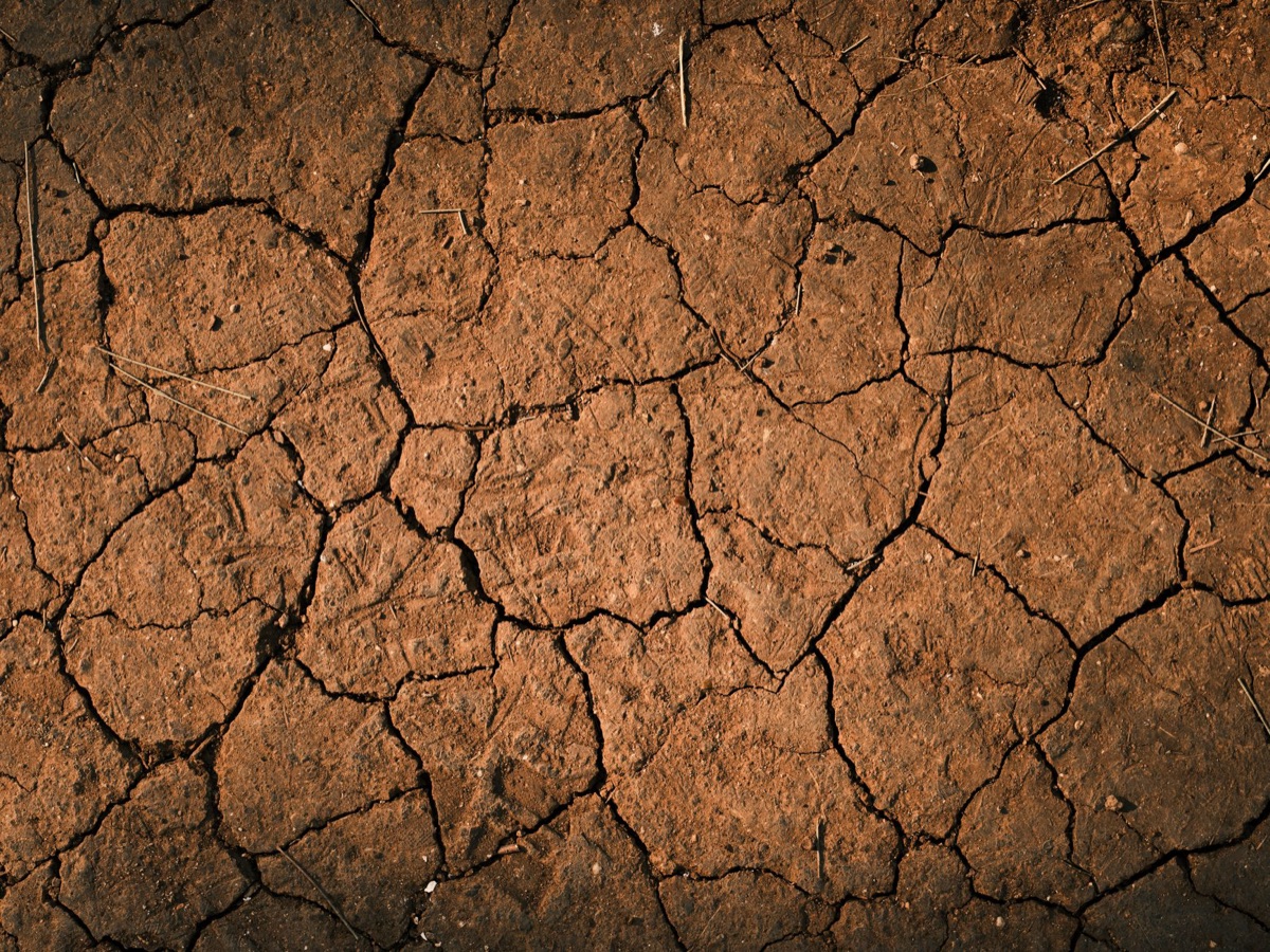 Terre craquelée par la sécheresse sous un ciel de canicule.