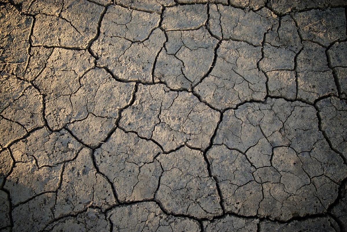 Cracked, dry earth representing environmental impact.