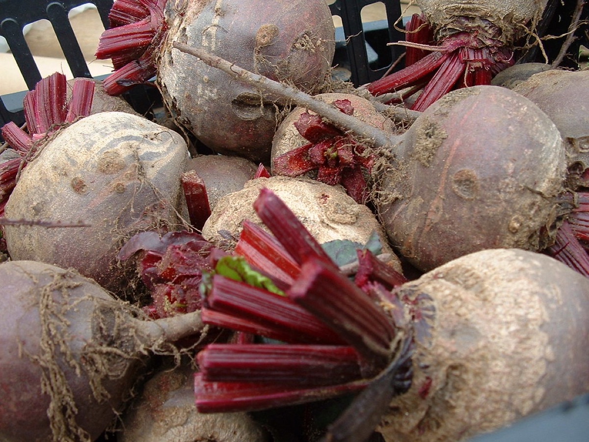 A basket filled with various fresh vegetables.