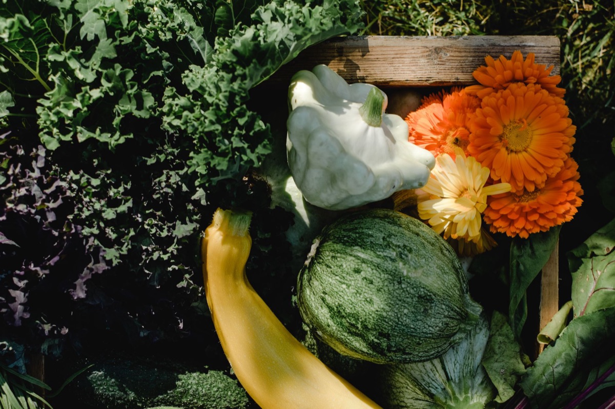 Une caisse en bois remplie de légumes biologiques frais du jardin.
