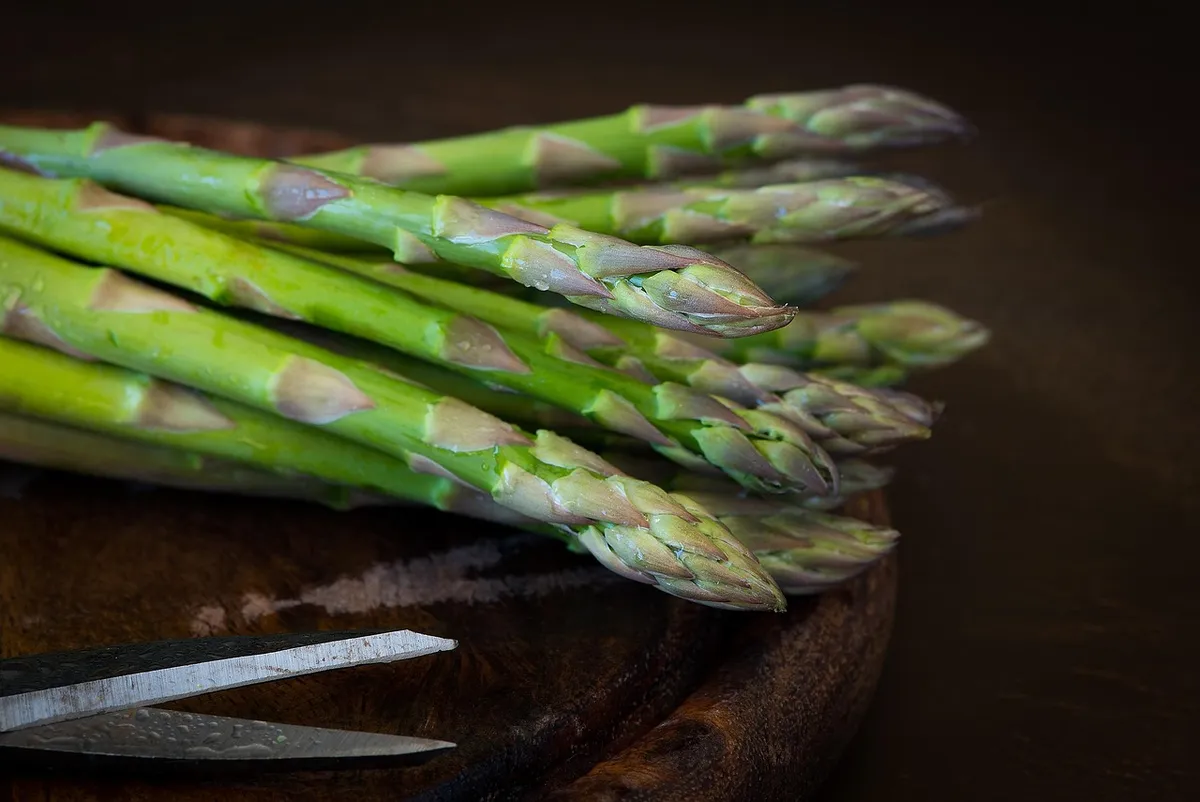 作為paragus，綠色作為paragus，綠色，生食， produce，收成，有機，新鮮，蔬菜，食物，健康，營養，維生素，作為paragus尖端，特寫，作為paragus，a