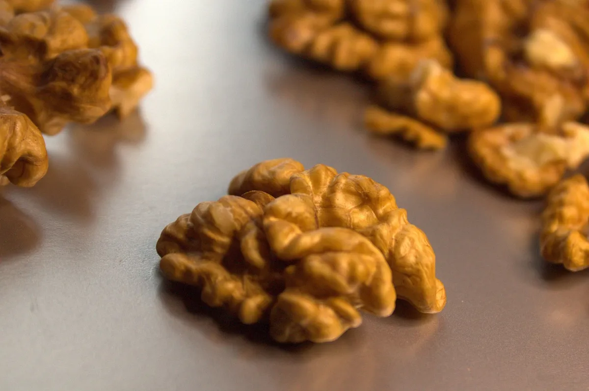 walnut, nuts, food, healthy, brain, closeup, walnut, walnut, walnut, walnut, brain, brain, brain, brain, brain