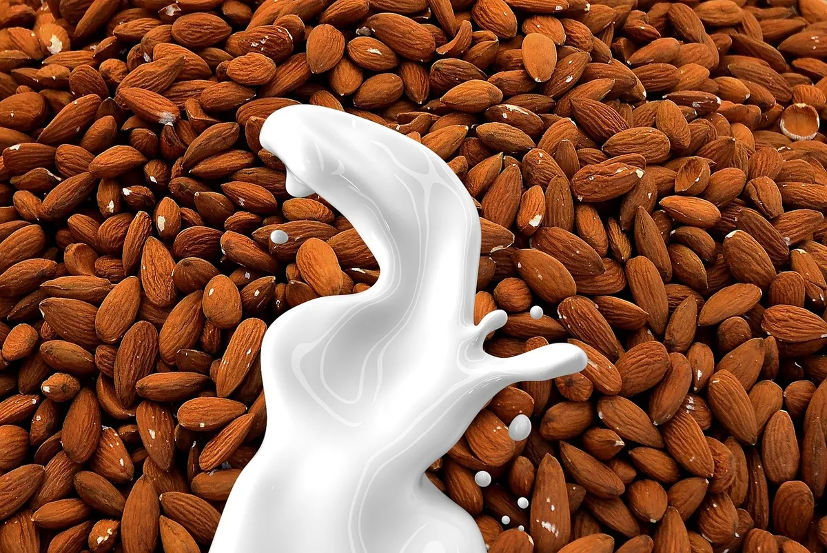 almond milk, milk, nut milk, non dairy, almond, beverage, drink, healthy, non-dairy, nut, remix, vegan, plant-based, vegetarian, food, white, diet, organic, hea