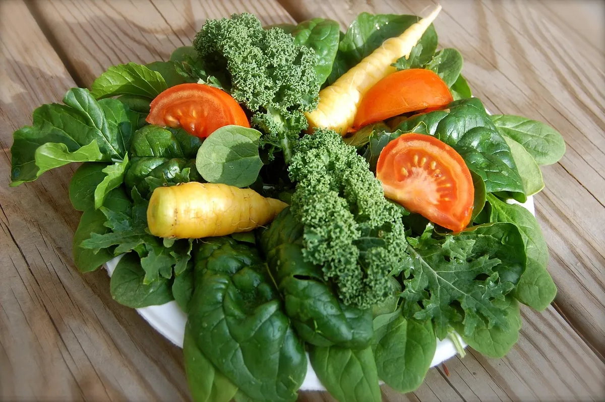 salad, greens, healthy, food, diet, lettuce, spinach, vegan, organic, vegetable, healthy meal, fresh vegetables, fresh food, vegetarian, eating healthy, healthy