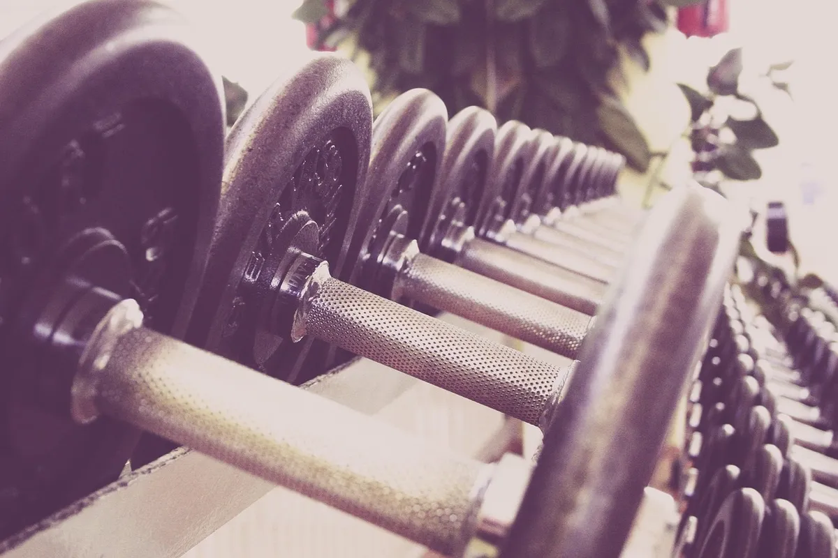 fitness, dumbbells, training, gym, weights, weightlifting, weight training, gym equipment, fitness studio, studio, weight, exercise, many, train, fit, fitness,