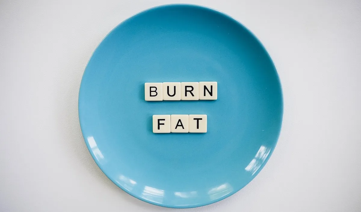 burn fat, weight loss, obesity, fitness and health, balanced diet, body building, challenge, detox, exercise, fit, goals, healthcare, health issues, healthy eat