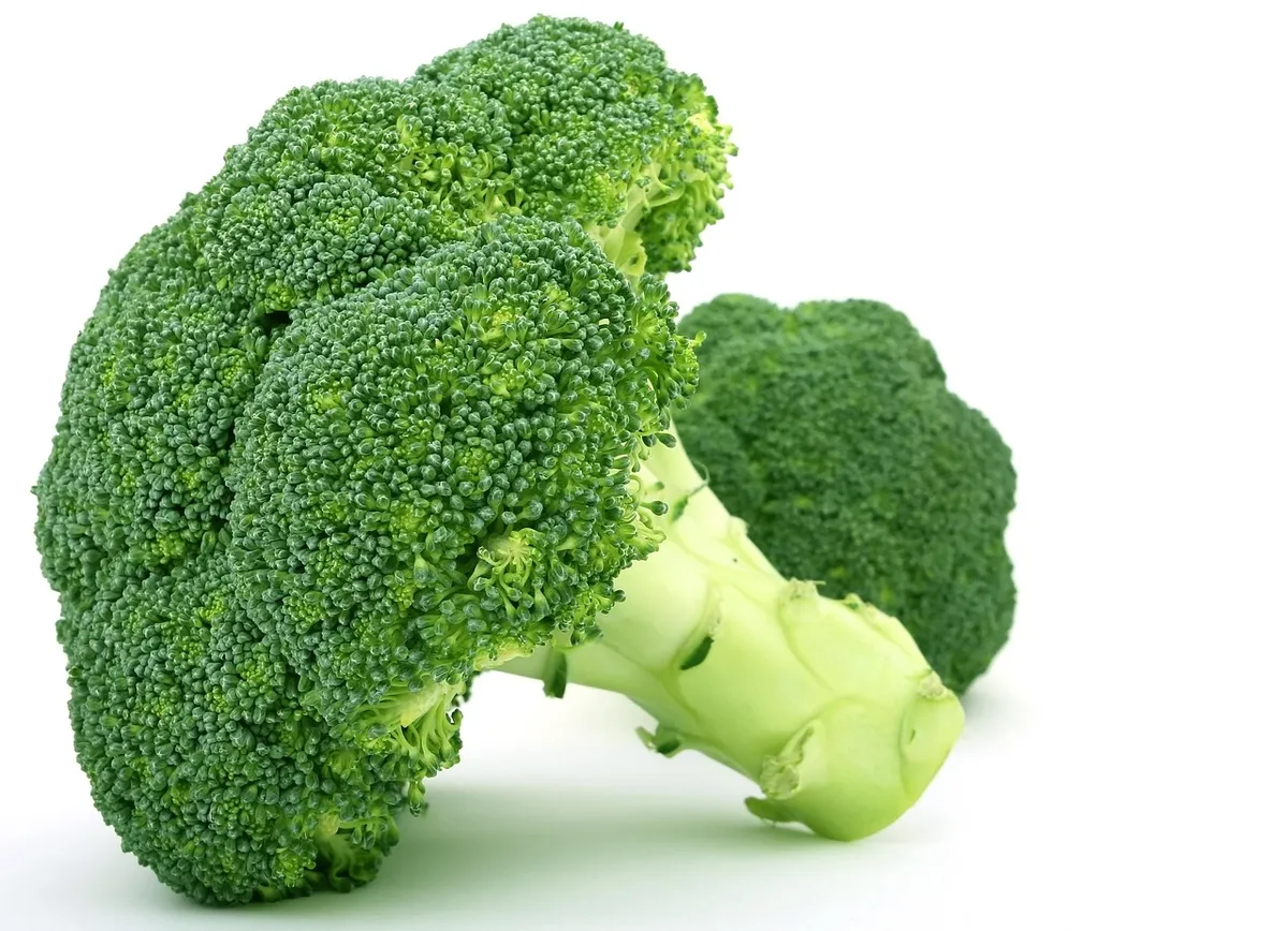 broccoli, vegetable, food, green vegetable, produce, organic, natural, healthy, nutrition, ingredient, raw, broccoli, broccoli, broccoli, broccoli, broccoli