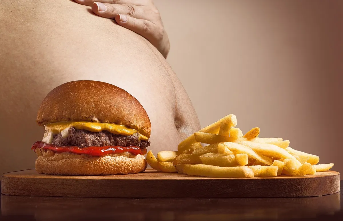hamburger, p, french fries, belly, abdominal fat, fat, full, filled, obesity, excess, overweight, snack, fast food, unhealthy, healthy, health, diet, food, eati